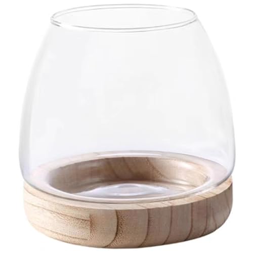 Glasfischschale 4x6 Transparentes Glas Terrarium Minimalist luxuriöser Hydroponic Fish Tank Pflanzer auf dem Desktop von Csafyrt