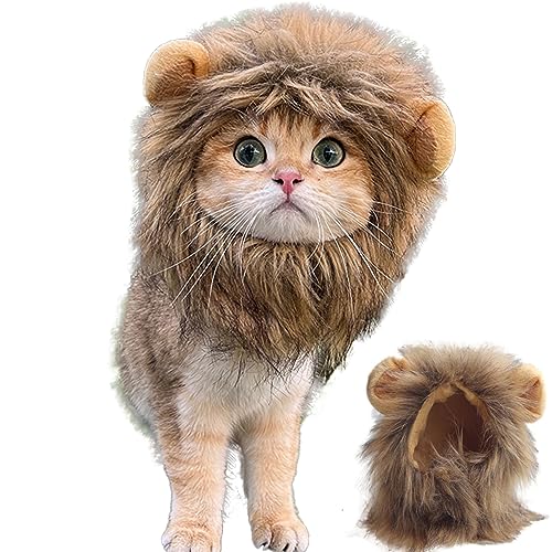 Katzenkostüme, 11-Zoll-Katzenkostüme nur für Katzen, Mähne für Katze, lustiges Katzenkostümzubehör für Katzengeburtstag, Cosplay, Outfits M 28-32 cm von Csafyrt