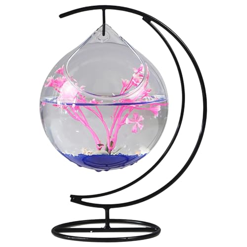 Kleine Aquarium Clear Glass Fish Bowl Hanging Desk Fischtank mit Eisenhakenständer Mini -Aquarium für Büro Home Tischdekoration von Csafyrt