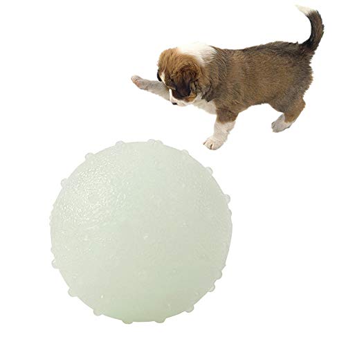 Csheng Ball Hund Hundeball Kauknochen Hunde Groß Hunde Spielzeug Hund Kaut Lange Anhaltende Natürliche Kauen Für Hund Geweih Kaut Für Hunde Welpen Zahnen Spielzeug 6.5cm von Csheng