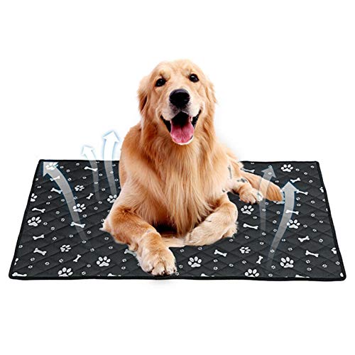 Csheng Coole Matten Für Hunde Haustier Coole Matte Haustier Eisseidenmatte Haustier Kühlkissen Katze Kühlmatte Atmungsaktives Hund Auto Kissen Haustier Hund Autositz Einfaches Black,Large von Csheng