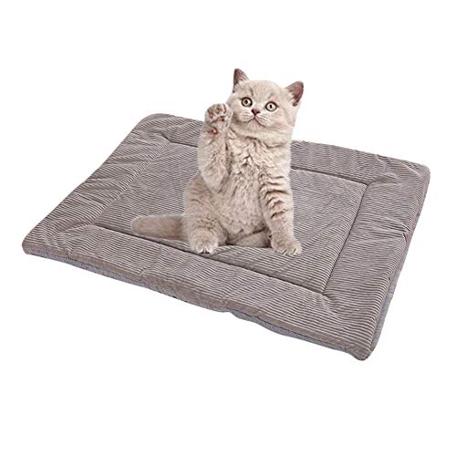 Csheng Dog-Covered Big Dogs Dog Blanket Fleece Hundedecken Waschbar Hundedecken FüR Hunde Hundedecke Waschbar Hundematte Hundematratze Gray,L von Csheng