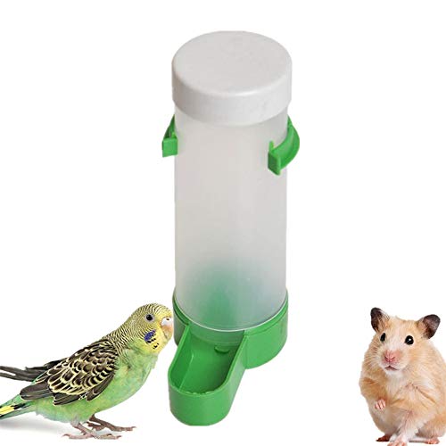 Csheng EichhöRnchen Futterhaus Automatischer Futterspender Vogel Wasserspender Meerschweinchen-Futternapf Robin Vogelhäuschen Lagerung Von Vogelfutter Niger Seed Bird Feeder Food Feeder von Csheng