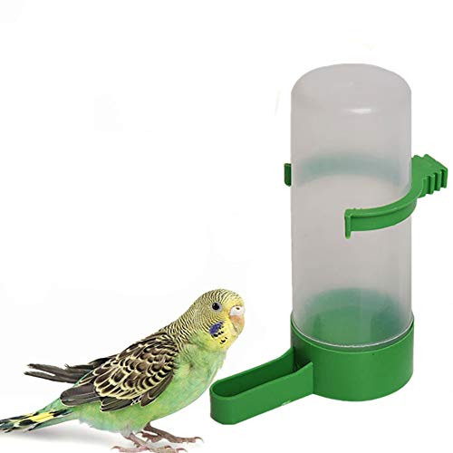 Csheng EichhöRnchen Futterhaus Automatischer Futterspender Vogel Wasserspender Meerschweinchen-Futternapf Robin Vogelhäuschen Lagerung Von Vogelfutter Niger Seed Bird Feeder Water Feeder von Csheng