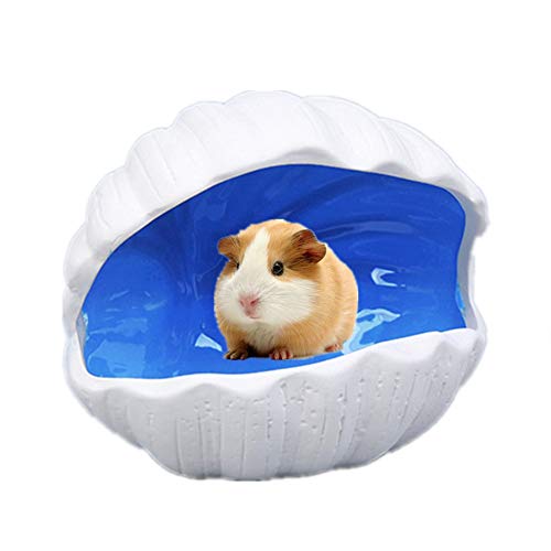 Csheng Hamster Keramiknest Hamsterhaus Hamsterversteck Sommerkühlung Klimaanlage Haus Meerschweinchen Goldener Seidenbär Schlafnest Offenes Muschelnest 10.5cm,Blue von Csheng