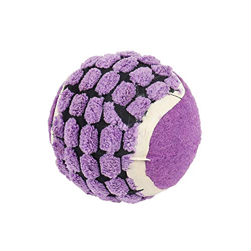 Csheng Hund Ball Hund Tennis Bälle Hund Kauen Welpe Beißspielzeug Kauen Spielzeug Haustier Training Tennis Spielzeug Molar Umweltschutz Interaktiver Training Ball Haustierzubehör 6,Purple von Csheng