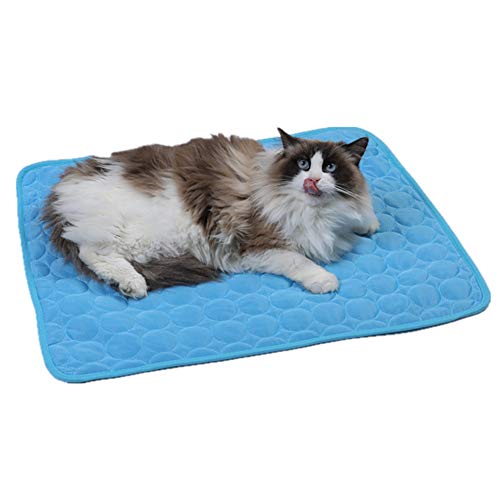 Csheng Hund Coole Matte Haustier Coole Matte Haustier Eiskissen Katze Kühlmatte Decke Für Haustier Sommer Haustier Eismatte Hundematte Haustier Eisseidenmatte Katze Coole Matte lightblue,XX-Large von Csheng