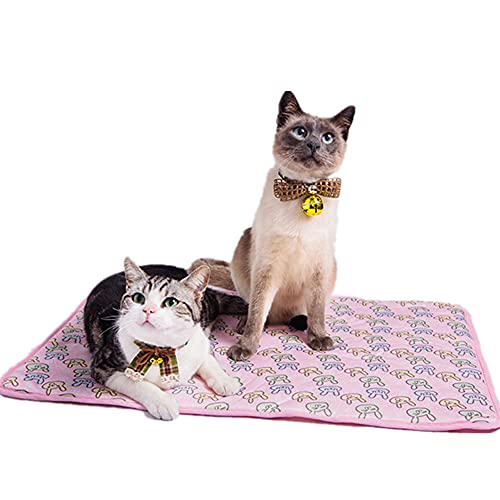 Csheng Hund Coole Matte Kühlmatte Hund Cool Pad Haustier Katze EIS Pad Sommer Kühl Pad Kaltes EIS Seide Zwinger Pad Selbstkühlendes Pad Haustier EIS Seidenmatte Haustier Kühl Pad pink,Large von Csheng