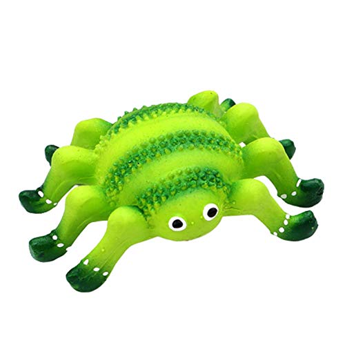 Csheng Hunde Kauspielzeug Haustier Spielzeug Haustier interaktives Spielzeug Molares Hundespielzeug Haustierzubehör Hundebiss Spielzeug Pet Play Toy Spider von Csheng