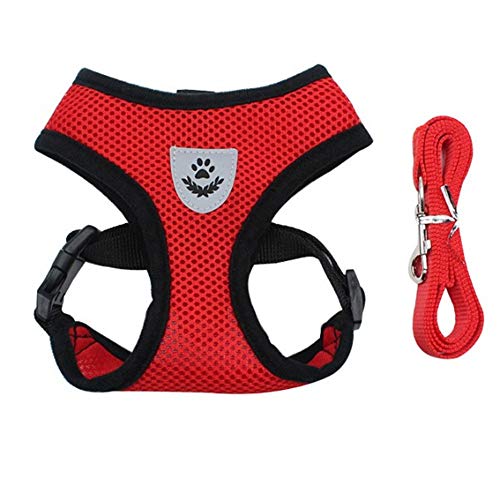 Csheng Hunde Leine Hundegeschirr Kleine Hunde Welpengeschirr für kleine Hunde Mops Rettungsgeschirr Hundegeschirr klein verstellbar Kleine Hundegeschirre red,l von Csheng