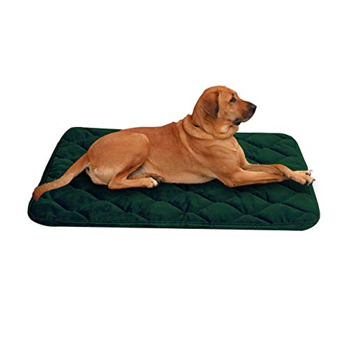 Csheng Hundebett rutschfeste Haustiermatte Flauschige Katzenmatte Weiche Katzenmatte Hundekistenmatte Katzenbetten Hundekomfort Bett Hundematte Haustier Matte Auto Hundematte Haustier Green,100 von Csheng