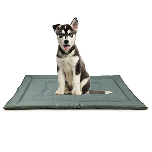 Csheng Hundedecken Waschbar Hundedecken FüR Hunde Hundedecke Waschbar Hundedecke Sofa Hundedecke rutschfest Hunde Decke Hundematte Hundematratze Gray von Csheng