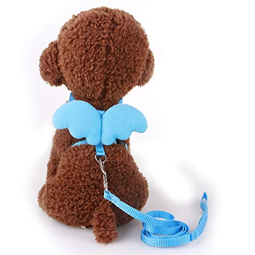 Csheng Hundegeschirr Hunde Leine Hundegeschirr für mittlere Hunde Kein Zuggurt für Hunde Hundegeschirr klein verstellbar Hundegeschirr und Bleisätze Blue,xs von Csheng