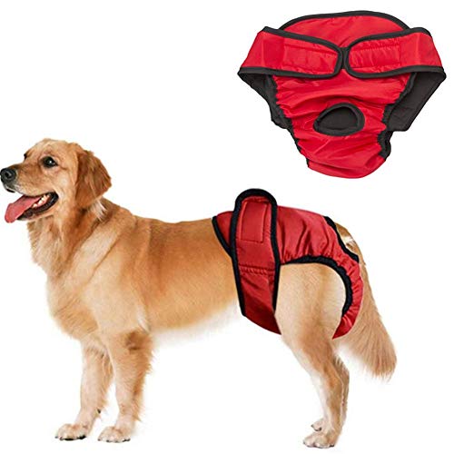 Csheng Hundehose Für Hündinnen In Der Saison Hundewindeln Hundwindeln Hundwindel Männlich Hund Saison Hosen Windeln Für Hunde Männlich Weiblich Haustier Big Dog Physiologische red,xs von Csheng