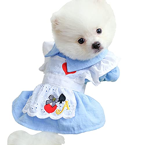 Csheng Hundekleider Welpenkleid Haustierpartykleid Niedliche Hundekleidung Für Herbst-Winter-Haustierkleidung Für Katzen Alice-Röcke Für Verschiedene Anlässe Im Innenbereich Medium,Blue von Csheng