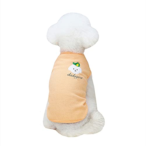 Csheng Hundekleidung Hund T-Shirt Kätzchen Kleidung Für Kleine Hunde Haustier Kleidung Kleidung Für Hunde Welpen Kleidung Nette Kleidung Haustier Kleidung Hund Kleidung Frühling Sommer 20,orange von Csheng