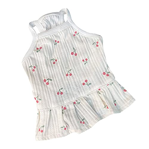 Csheng Hundekleidung Hundekostüm Hund Pettiskirt Katzenkleidung Haustierkleidung Sommer Sling Rock Hund Katzenkleidung Für Verschiedene Indoor Outdoor Anlässe Urlaub Dekorationen Large,White von Csheng