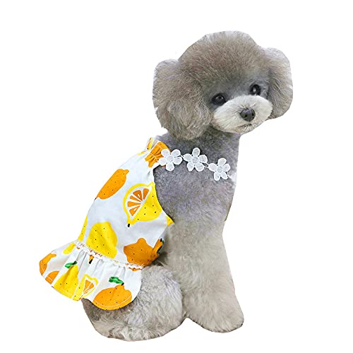 Csheng Hundekostüm Hundekleider Kleidung Für Hunde Haustierkleidung Hundekleidung Frühling Sommer Kleidung Katze Kleidung Kleider Zitronenmuster Für Verschiedene Indoor Outdoor Anlässe Small,White von Csheng