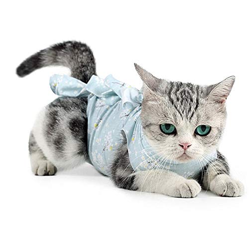 Csheng Hundekostüm Katzenkleidung Hund Onesie Haustierweste Gewindegurt Typ Katze Weibliche Katze Sommer Anti-Lecken Sterilisationsanzug Anti-Biss Anti-Kampf Postoperative Kleidung Blue,M von Csheng