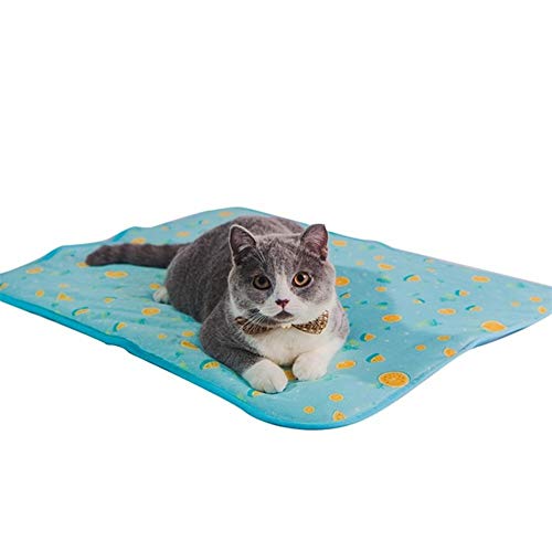 Csheng Hundekühlmatte Hund Cool Pad Haustier EIS Pad Decke Für Haustier Katze EIS Pad Sommer Kühl Pad EIS Seide Zwinger Pad Kühl Pad Für Hunde Katzen Im Heißen Sommer Blue,Medium von Csheng