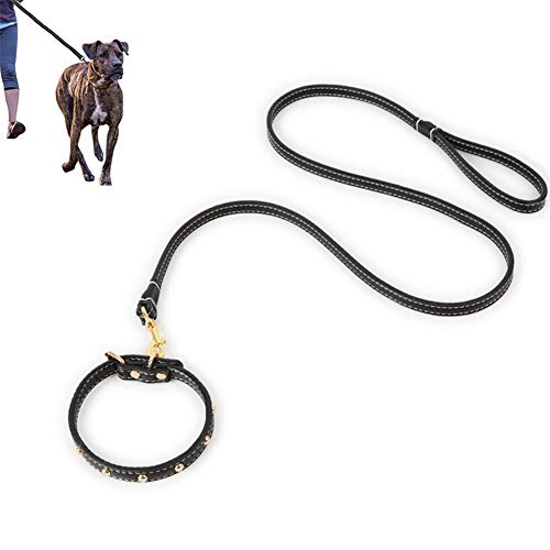 Csheng Hundeleine Hundeleine Leder Hundeleine für kleine Hunde Hundeleine bequem Hundetraining Lead Hund führt stark Hundehalsband mit Leine von Csheng