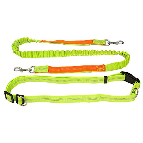 Csheng Hundeleine Kleine Hund Hundeleine Große Hunde Leine für große Hunde Hundegürtel Hund läuft Blei Taille Hund führen Hundegürtel Hundetraining Lead Green von Csheng