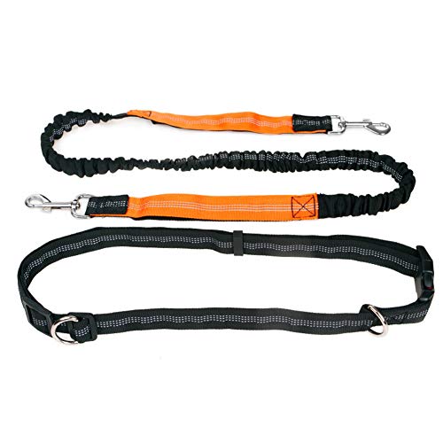 Csheng Hundeleine Kleine Hund Hundeleine Große Hunde Leine für große Hunde Hundegürtel Hund läuft Blei Taille Hund führen Hundegürtel Hundetraining Lead orange von Csheng