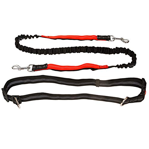 Csheng Hundeleine Kleine Hund Hundeleine Große Hunde Leine für große Hunde Hundegürtel Hund läuft Blei Taille Hund führen Hundegürtel Hundetraining Lead red von Csheng