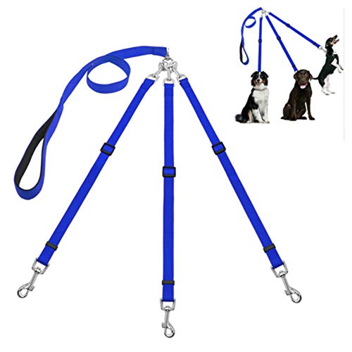 Csheng Hundeleine Laufen Hundeleinen Hund Dreiköpfiger Bleianzug Mit Verstellbarer Eins-zu-DREI-Traktionsseil Nylon-Hundetraining-Leinenleine Für Outdoor-Training Laufende Laufleine Blue von Csheng