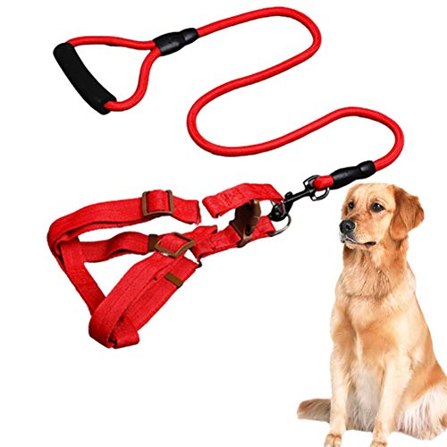 Csheng Hundeleine Seil Hundeleine Welpe Blei Brust Rücken Traktionsseil Hund Rundseil Kletterseil Haustierbedarf Hundeseil Hundetraining Leinenleine Für Outdoor-Leine red,23 von Csheng