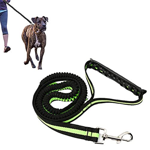 Csheng Hundeleine Seil Hundeleine Welpe Blei Hund Laufseil Elastische Haustierleine Hundeartikel Hundetraining Leinenleine Für Outdoor-Training Laufen Gehen Leine green von Csheng