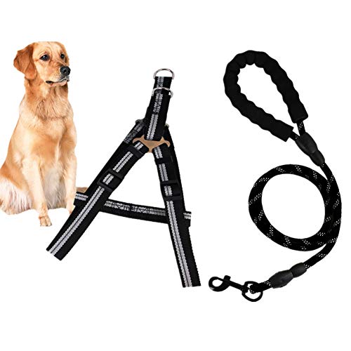 Csheng Hundeleine Seil Hundeleine Welpe Blei Hundehalsband Und Blei Set Welpenhalsband Laufen Hund Leine Hundetraining Leinen Für Outdoor-Training Laufen Gehen Leine Black,Large von Csheng