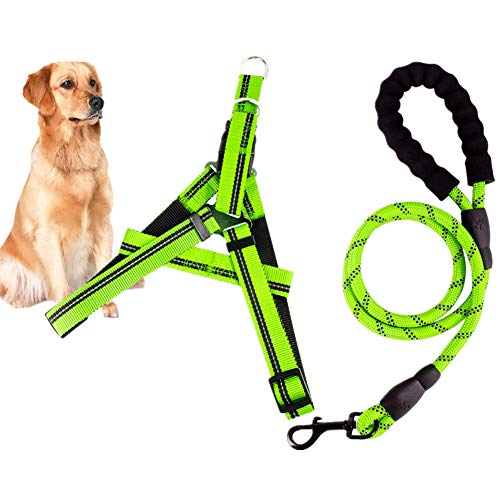 Csheng Hundeleine Seil Hundeleine Welpe Blei Hundehalsband Und Blei Set Welpenhalsband Laufen Hund Leine Hundetraining Leinen Für Outdoor-Training Laufen Gehen Leine Green,Large von Csheng