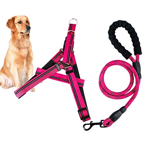 Csheng Hundeleine Seil Hundeleine Welpe Blei Hundehalsband Und Blei Set Welpenhalsband Laufen Hund Leine Hundetraining Leinen Für Outdoor-Training Laufen Gehen Leine pink,Large von Csheng