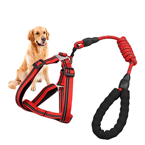 Csheng Hundeleine Seil Hundeleine Welpe Blei Hundehalsband Und Blei Set Welpenhalsband Laufen Hund Leine Hundetraining Leinen Für Outdoor-Training Laufen Gehen Leine red,Small von Csheng