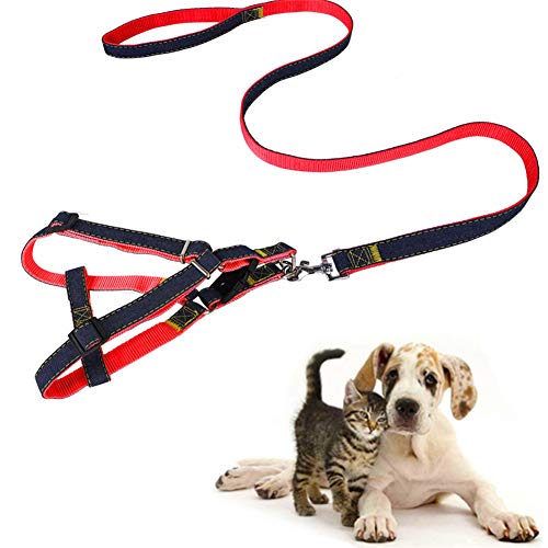 Csheng Hundeleine Und Halsband Set Welpenleine Denim Leine Hundekette Brustgurt Verdicken Verschleißfeste Haustierprodukte Hundetraining Leinenleine Für Laufen Im Freien Laufen red,X-Large von Csheng