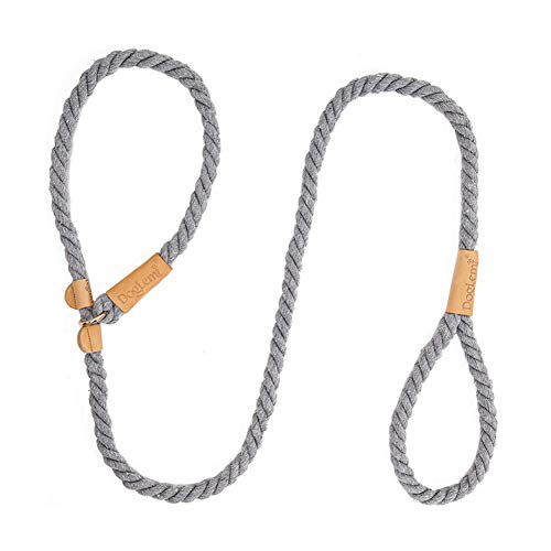 Csheng Hundeleinen Welpenleinen-Trainingsleine Für Hunde, Die Hundeleine Laufen Mehrfarbiges Baumwollseilhalsband Komfortables Training Hundetraktionsseil Haustiertraining Grey von Csheng