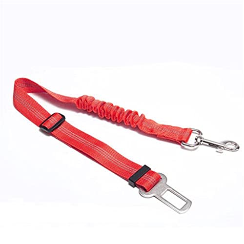 Csheng Hundetraining Blei Leine Haustier Elastic Car Nylon Sicherheitsgurt Geeignet Für Verschiedene Hunderassen Mit Sicherheitsprodukten Hundegeschirr Für Auto Hund Sicherheitsgurt red von Csheng