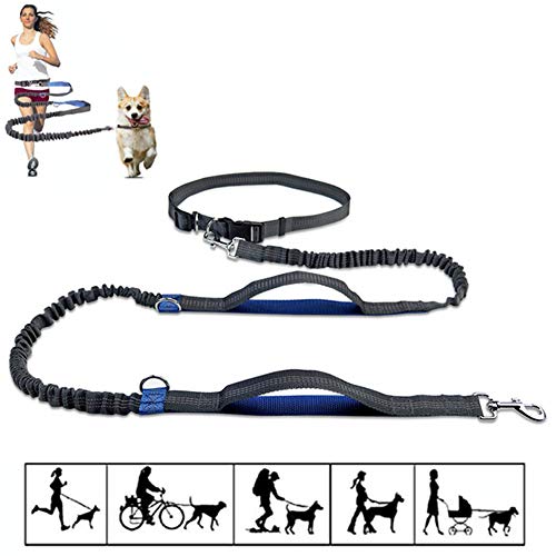 Csheng Joggingleine Hunde Hundeleine Große Hunde Slip Lead für Hunde Anti-Pull-Hundeleine Leine für große Hunde Hundeleine für kleine Hunde Hundegürtel Blue von Csheng