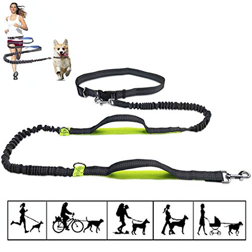 Csheng Joggingleine Hunde Hundeleine Große Hunde Slip Lead für Hunde Anti-Pull-Hundeleine Leine für große Hunde Hundeleine für kleine Hunde Hundegürtel Green von Csheng