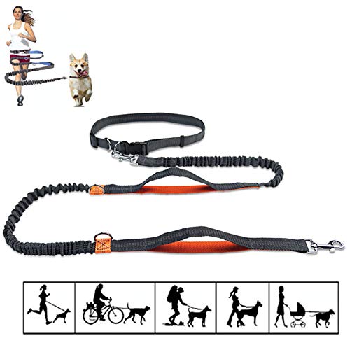 Csheng Joggingleine Hunde Hundeleine Große Hunde Slip Lead für Hunde Anti-Pull-Hundeleine Leine für große Hunde Hundeleine für kleine Hunde Hundegürtel orange von Csheng