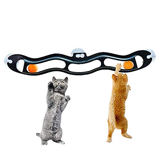 Csheng Katze Spielzeug Für Indoor Cats Saugnapf Gleis Kugel Katze Spielzeug Interaktives Saugnapfen Fensterbecher Katze Cat Track Ball Spielzeug Katze Tunnel Katze Interaktives Spielzeug von Csheng