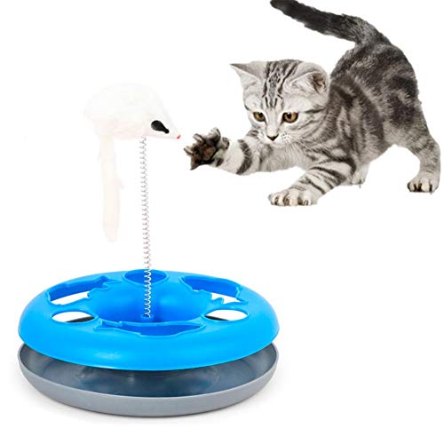 Csheng Katze Spielzeug Für Indoor Katzen Katze Interaktive Spielzeug Einzelne Schicht Spielen Teller Katze Spielzeug Maus Frühling Katze Spielen Spielzeug Katze Drehtisch Verstecken Blue von Csheng