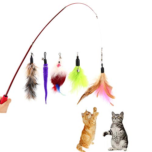 Csheng Katzenangel Mit Federn Katzenfeder Zauberstab Katzenspielzeug Katze Angelrute Set Lustige Katzenrute Feder Teleskoprute Für Indoor Kätzchenfänger Und Training Set Von 5 von Csheng