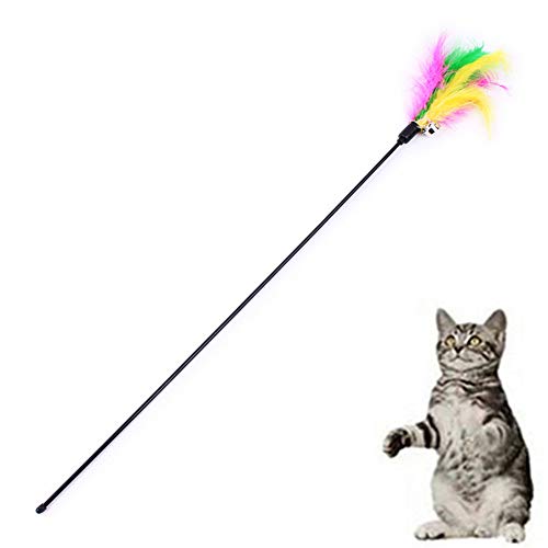 Csheng Katzenangel Mit Federn Zauberstab Katze Angelrute Spielzeug Bunte Feder Katzenspielzeug Lustige Katzenstock Mit Glocke Katzenspielzeug Interaktive Katze Angelrute Spielzeug 60cm Small von Csheng