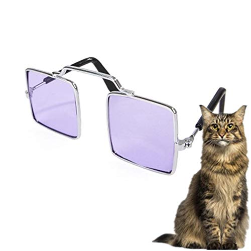 Csheng Katzenaugenbrille Haustierzubehör Katzenfoto Lustige Requisiten Persönlichkeitsbrille Welpenzubehör Welpensonnenbrille UV-Brille Für Hundebrillen Für Katzen Purple von Csheng