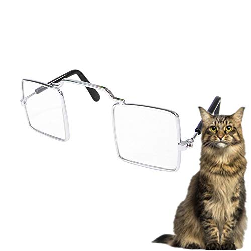 Csheng Katzenaugenbrille Haustierzubehör Katzenfoto Lustige Requisiten Persönlichkeitsbrille Welpenzubehör Welpensonnenbrille UV-Brille Für Hundebrillen Für Katzen White von Csheng