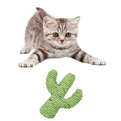 Csheng Katzenspielzeug Katzenspielzeuge Kratzbrett Katzenspielzeug Kätzchen-Kratzbaum Möbelkratzschutz Kratzbaum Katzenkratzbaum Cat Sofa Beschützer Katzenpfosten Cactus von Csheng