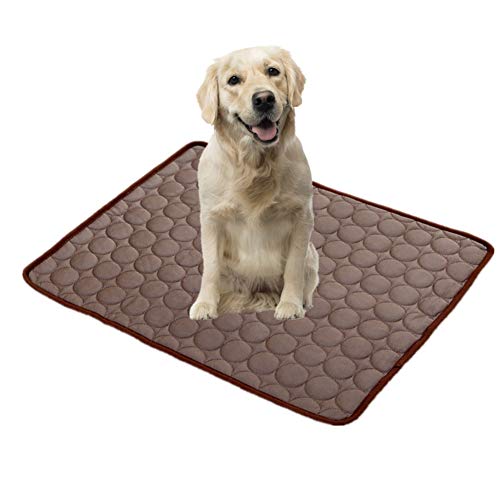 Csheng Pet Eisseidenmatte HaustierküHlkissen Eismatte Sommerschlafmatte Nestmatte KüHlmatte FüR Hunde Hunde KüHlmatte KüHlmatte FüR Hunde SelbstküHlend KüHldecke Hund KüHlmatte Brown,XL von Csheng