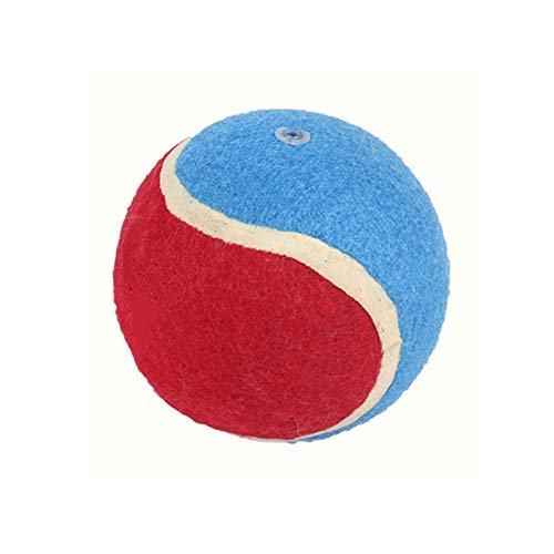 Csheng Tennisbälle Für Hunde Hundespielzeug Haustier Vocal Tennisspielzeug Molar Umweltschutz Interaktiver Trainingsball Haustierzubehör Welpe Kauspielzeug Haustierspielzeug Katze 7.5,red von Csheng